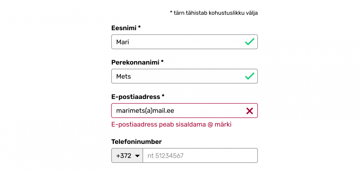 illustratsioon kasutajamugavast vormist e-poes