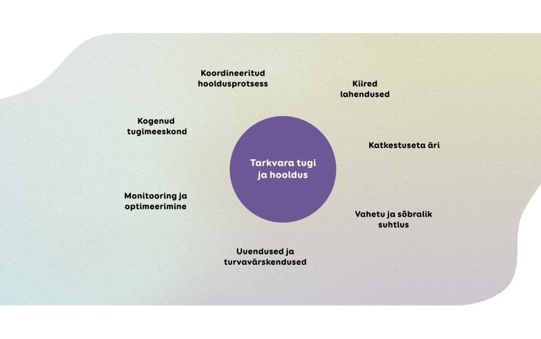 tarkvara toe ja hooldusega seotud protsessid