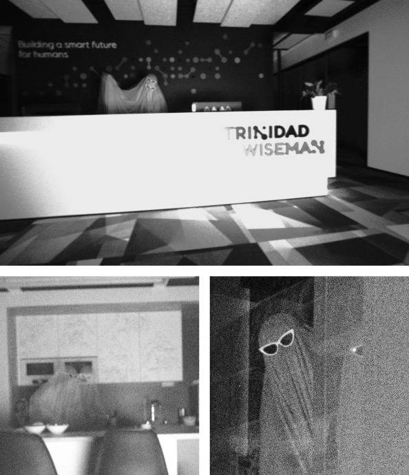 Vaim ehk Trinidad Wisemani Kambavaim kontoris ringi luusimas