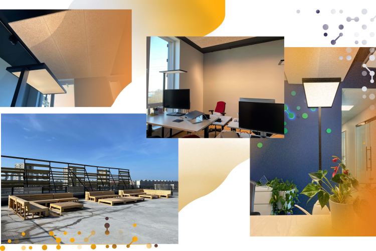 pictures of TWN's new office, roof terrace and lighting solution